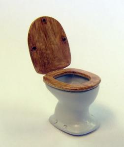 Plus Model Toilet bowl