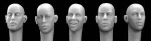 Hornet Models 5 female heads without hair