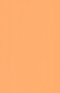 Micro Scale Dayglo Orange