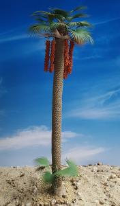 Reality in Scale Desert Fan Palm - contains resin trunk, fruits, scatter, wire, instructions