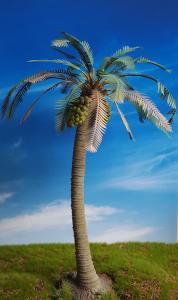 Reality in Scale Coconut Palm 1 - contains flexible resin top, coconuts, scatter, wire, inst