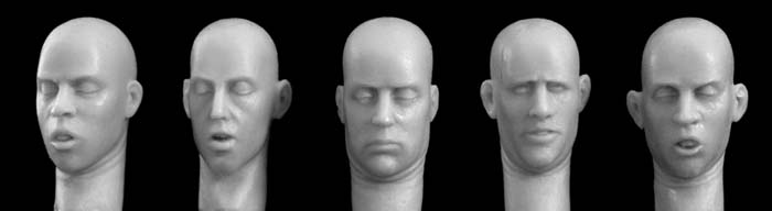Hornet Models 5 different bare heads looking down/reading