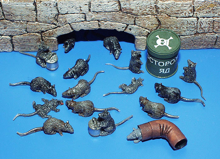 Plus Model Rats