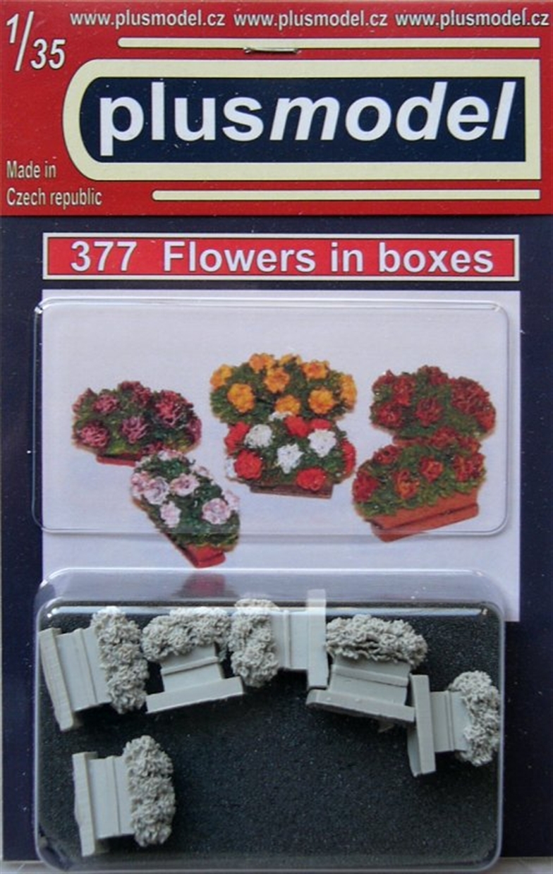 Plus Model Flowers in boxes