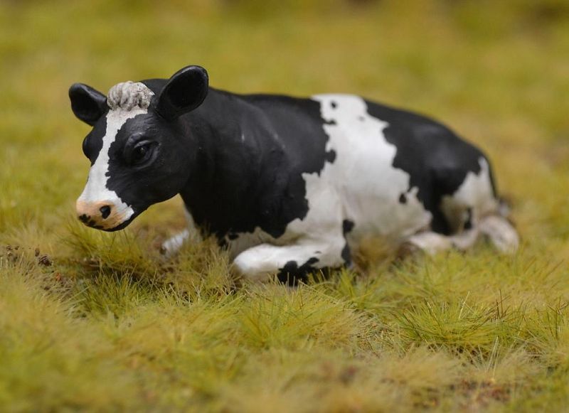 Reality in Scale Lying Cow