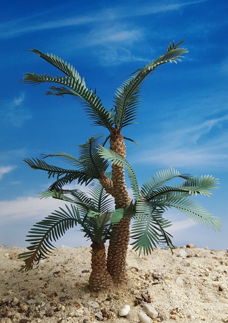 Reality in Scale Cycad Palm - contains resin trunk, scatter, wire, instructions and 24 leave